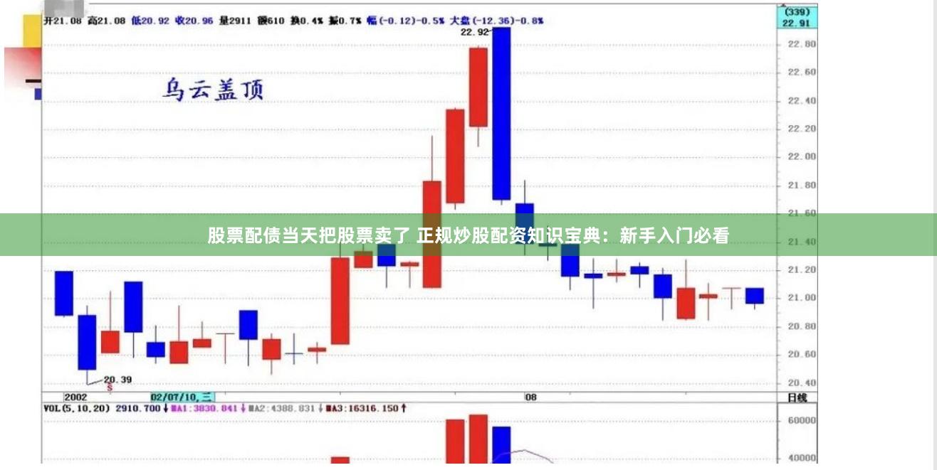 股票配债当天把股票卖了 正规炒股配资知识宝典：新手入门必看