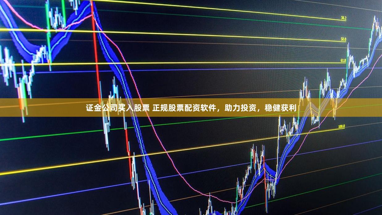 证金公司买入股票 正规股票配资软件，助力投资，稳健获利